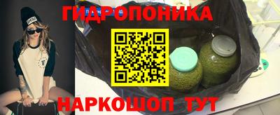 твердый Будённовск