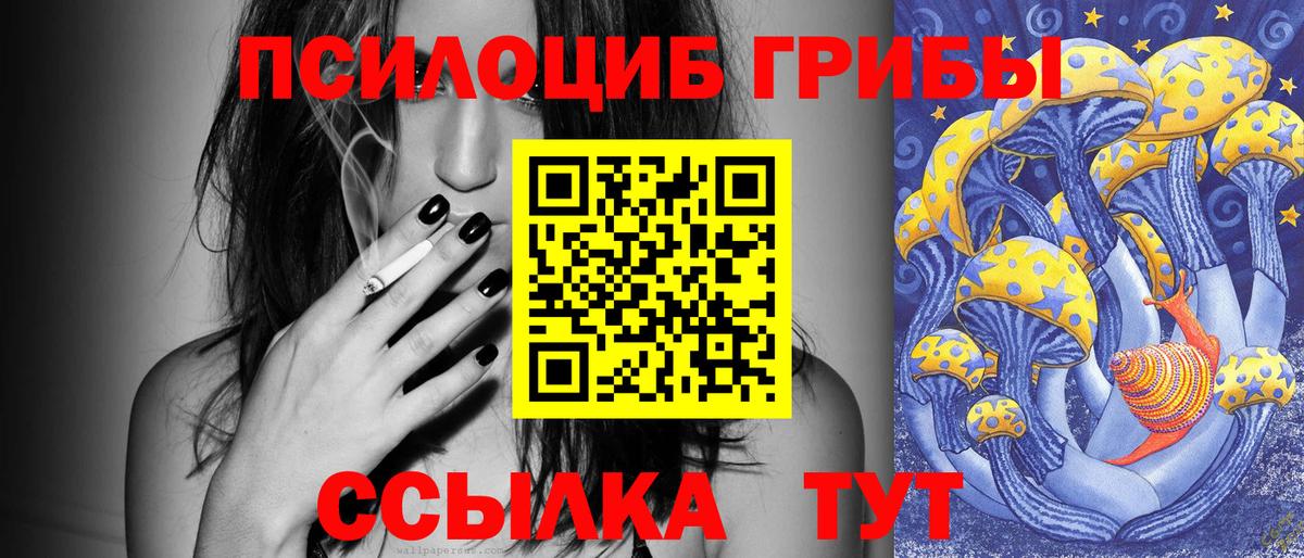 Рыбинск  Галлюциногенные грибы Cubensis  Вход с VPN 